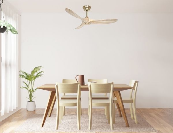 Chaise et table de salle à manger au plafond ventilateur sans crochet, ambiance lumineuse et plants verts à droite, sol en bois.