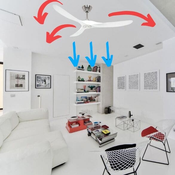 Mode hiver et été ventilateur de plafond : image d’un salon blanc avec ventilateur au plafond, flèches rouge indiquant rotation et flèches bleues montrant l’air descendant.