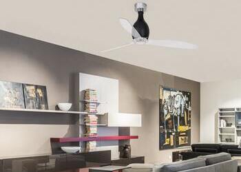 Vue d’un séjour moderne avec un ventilateur de plafond et des étagères murales décorées.